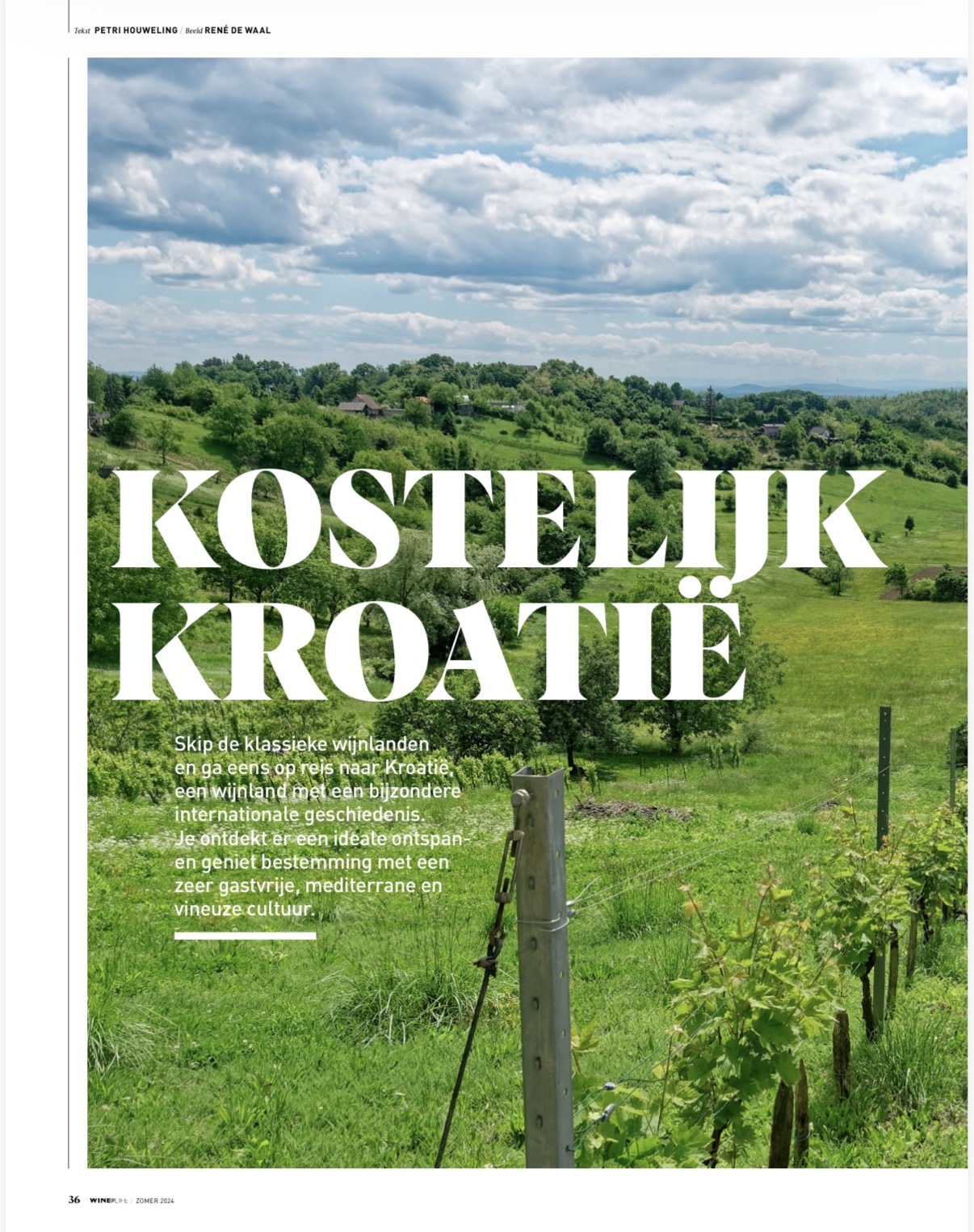 Reportage in Winelife