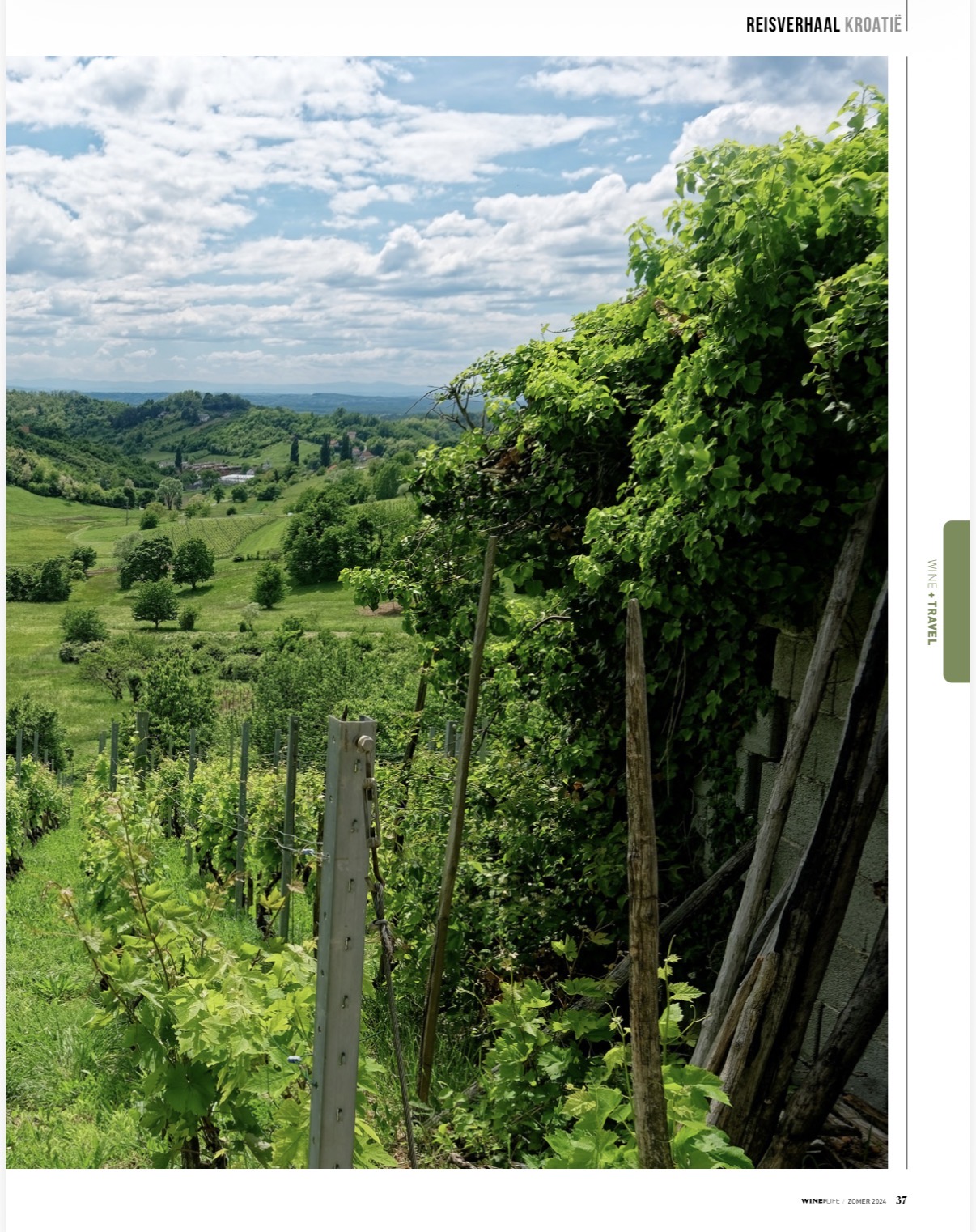 Reportage in Winelife