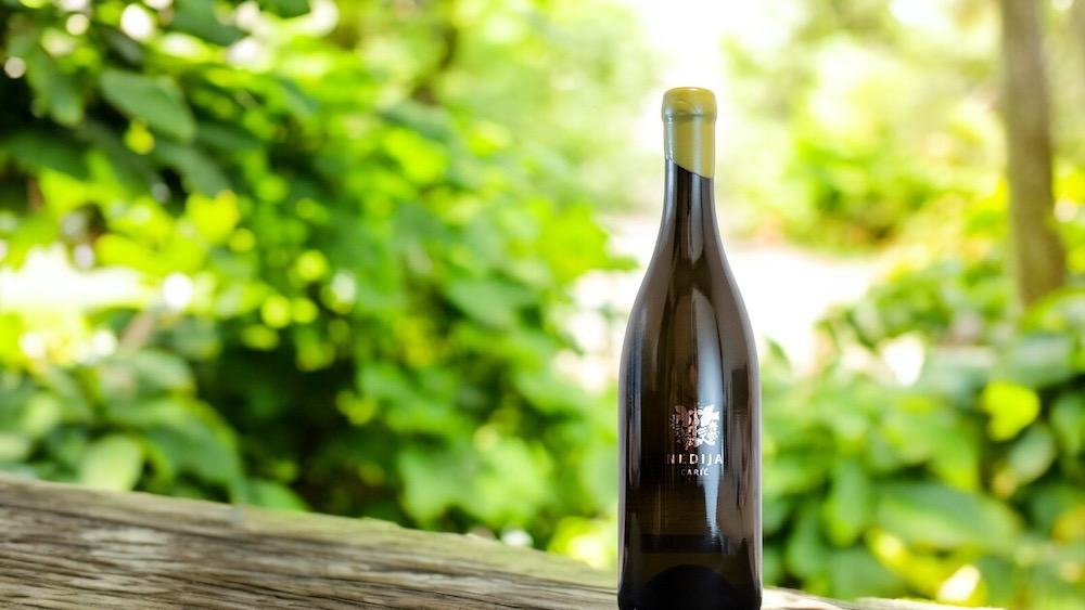 Vina Caric Nedija